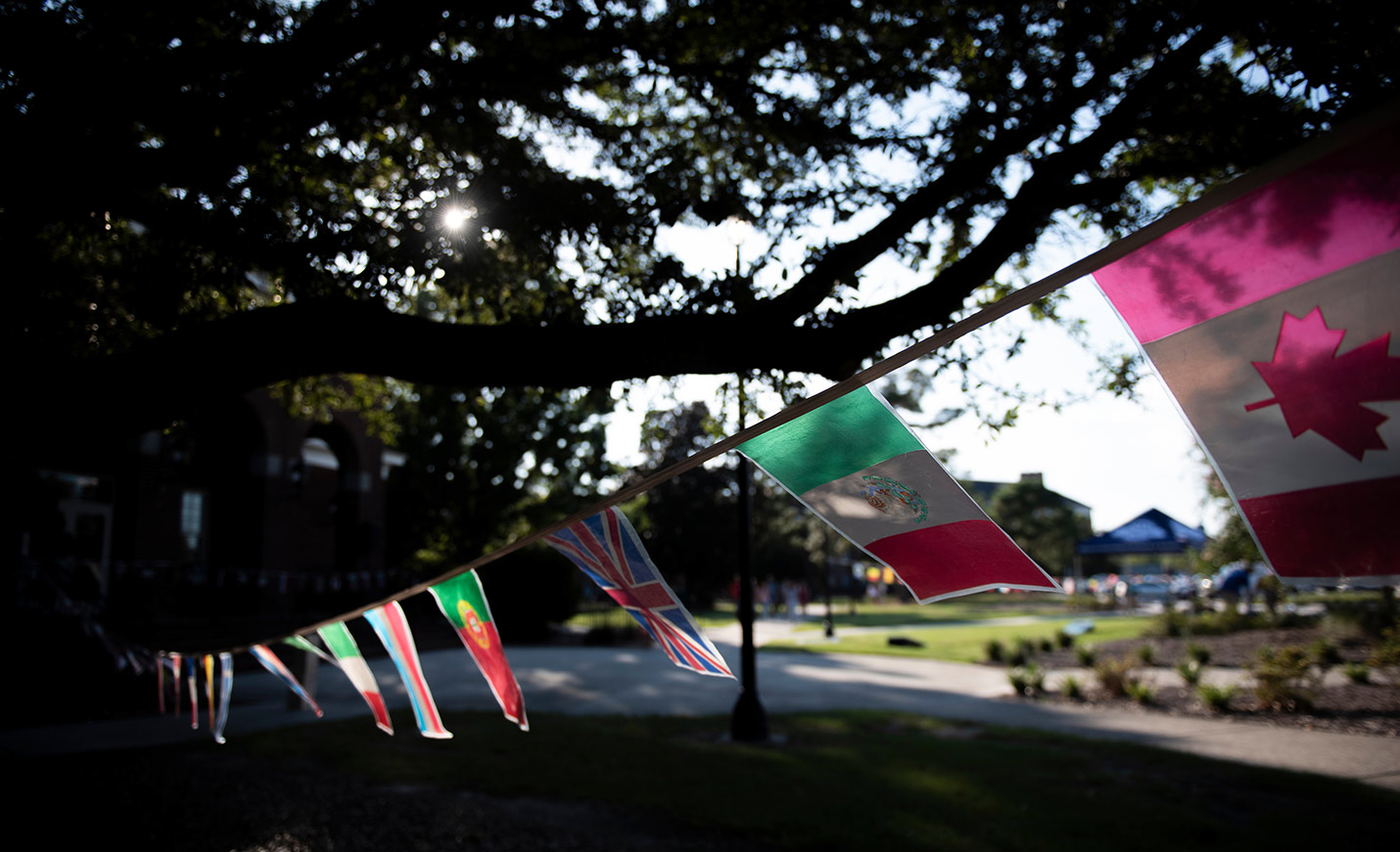 international flags on a banner flutter in the wind
