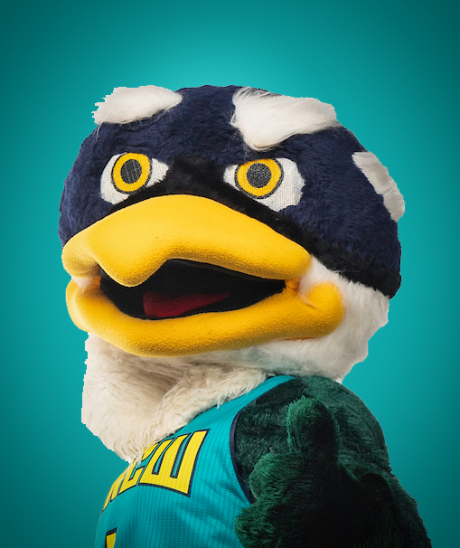 Portrait of Mascot Sammy C. Seahawk