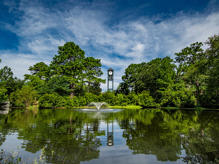 clocktower appears over lake between trees
